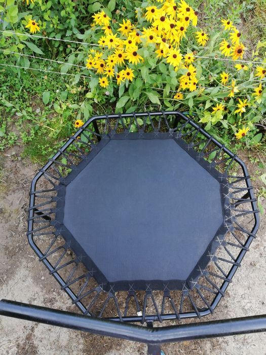 Фитнес батут Pro Jumping