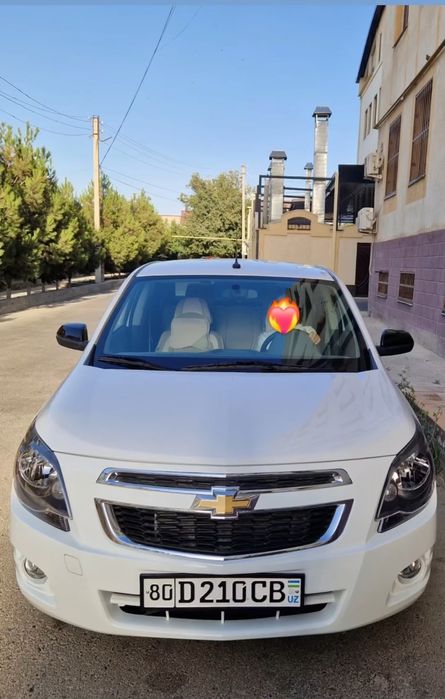 Cobalt midnight 2025 Aprel