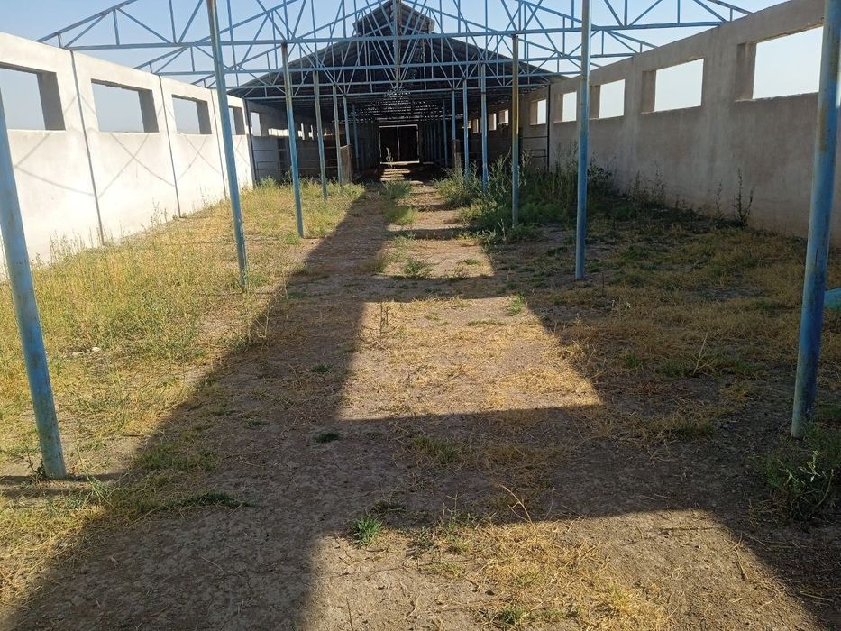 Ферма. Земля. 1 гектар.