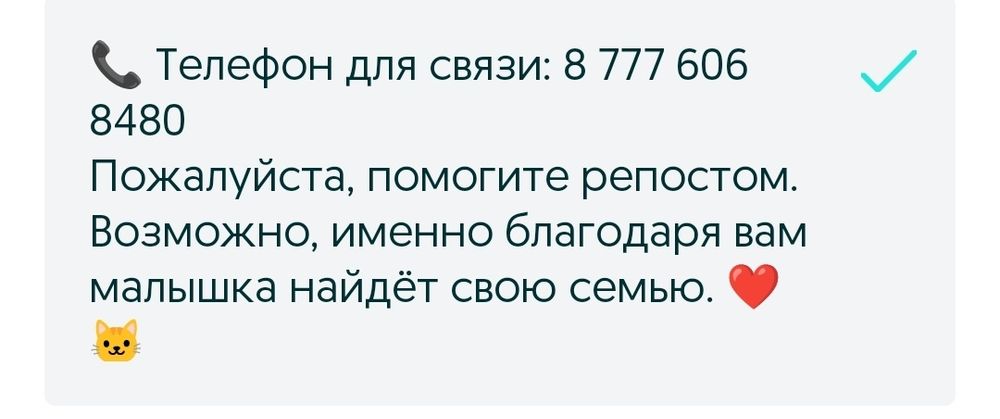 Ищем дом малышке