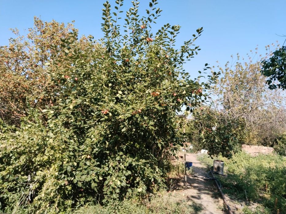 Продается дача 9соток