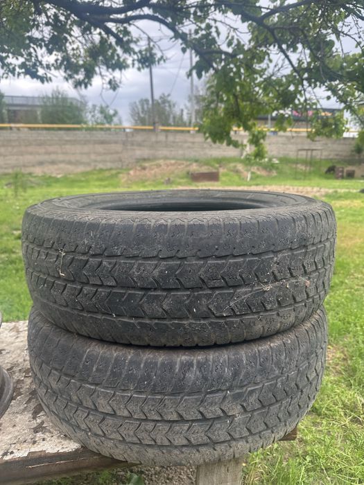 Газель балон буу