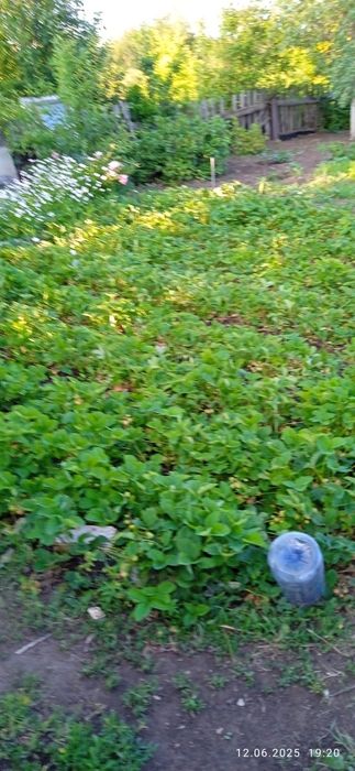 Продам дачу сады 1