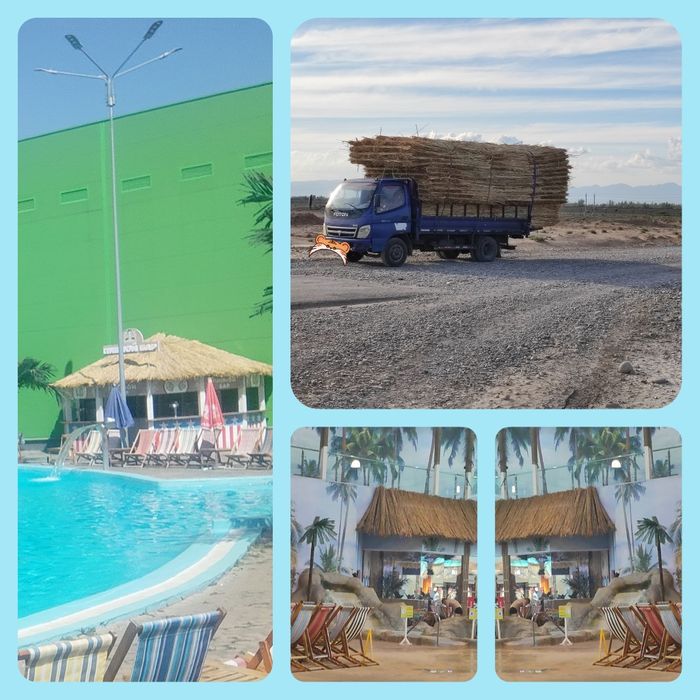 қамыс,камыс,камыш,маты