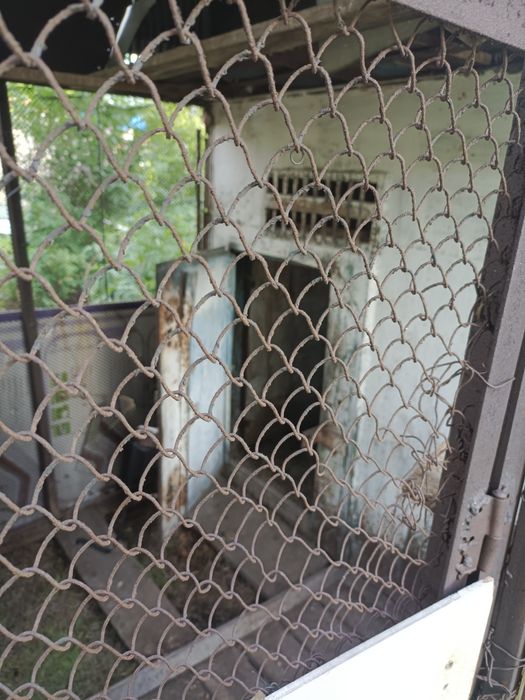 Голубятник сарайчик