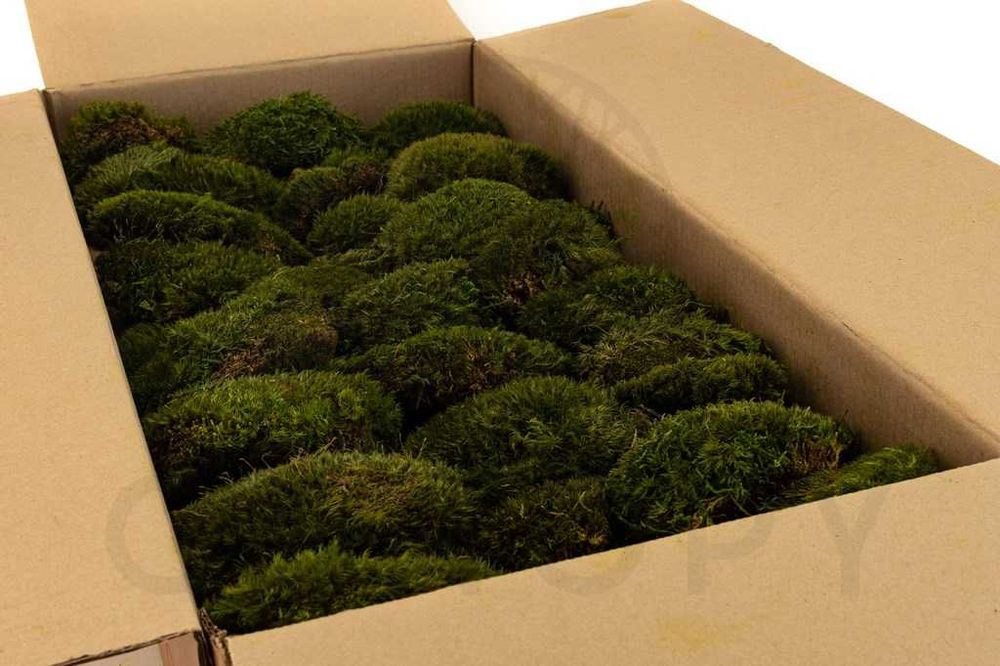 НОВО! Декоративен скандинавски топчест MOOD мъх-за картини или украса