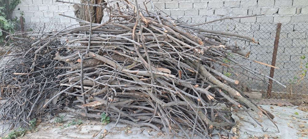 Дрова фруктовых деревьев , продам ,