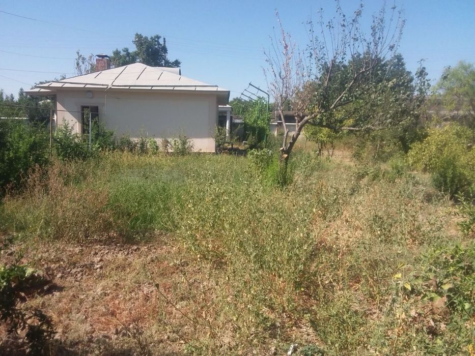 Erkin postidan 4-5 km kirganda yer narxida pul zaril