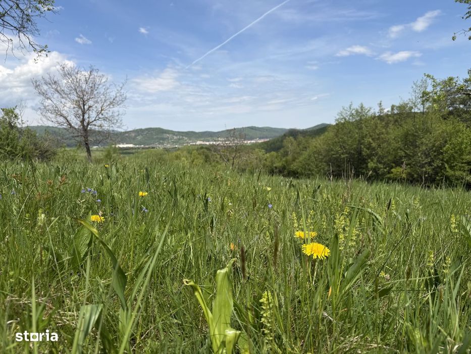 Teren intravilan 500 sau 1000 mp in Zarnesti-Tohanita