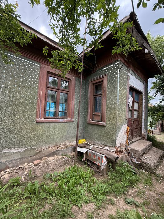 Proprietate de Vanzare In Sat Dalga, Comuna Calopăr - 2900mp| Doua Case batranesti + Plantație de lavanda anul 6