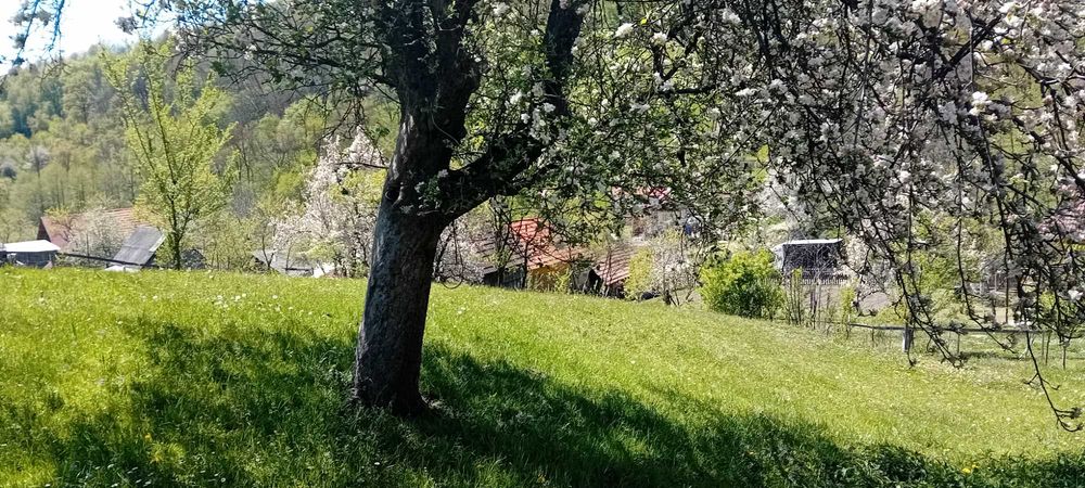 Vand casa, sat Valtori