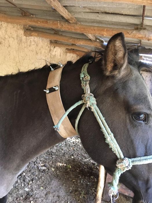 Gps спутниковое 6-7 айлық батарейкасымен