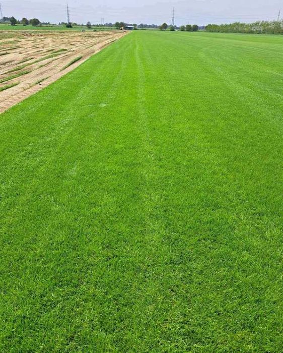 Gazon Rulou sisteme de Irigare