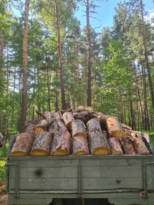Продам  дрова. Сухая сосна чурками.