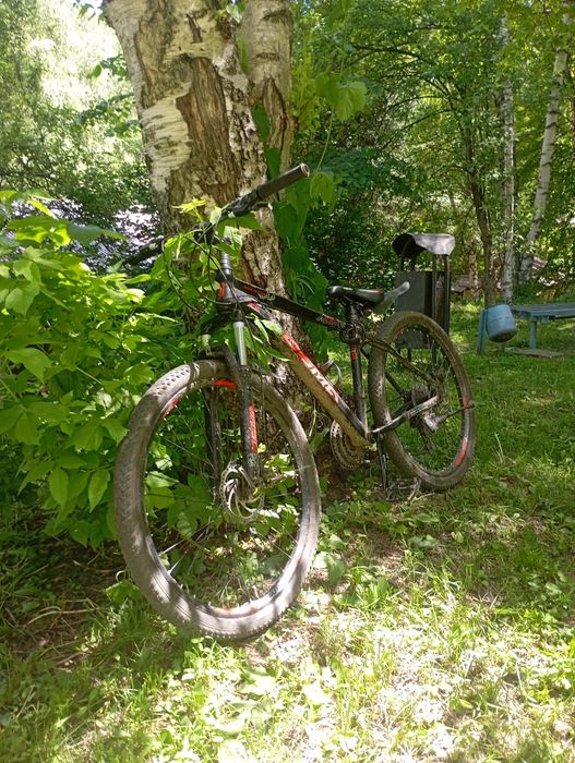 Велик от фирмы dsma