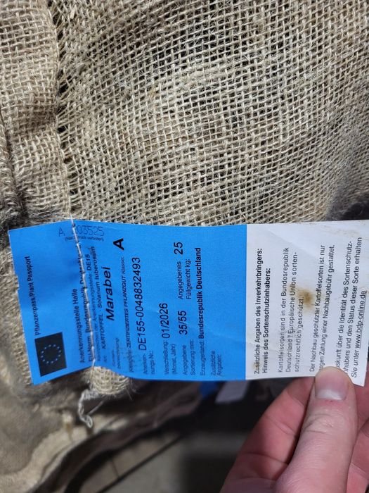 Семе картоф  Клас А 35/55 Марабел