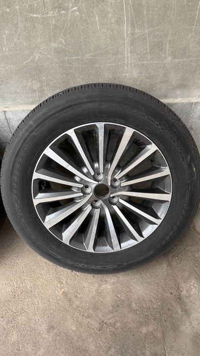 Karnival radnoy diska balon