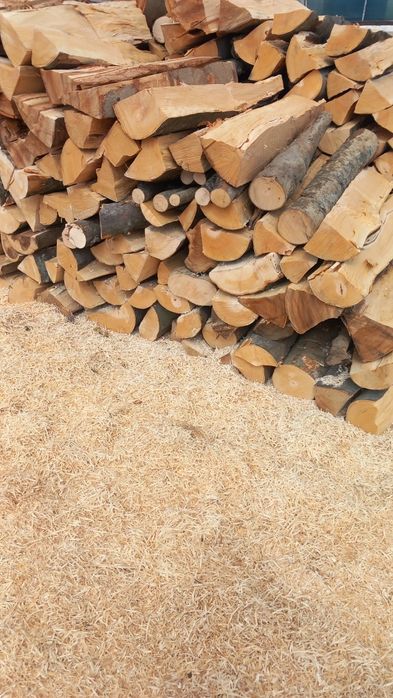 Vând Lemne de foc fag crepatura sau rotunde groase avem și raritura !