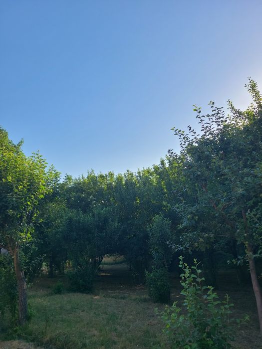 Дача участок ситилади