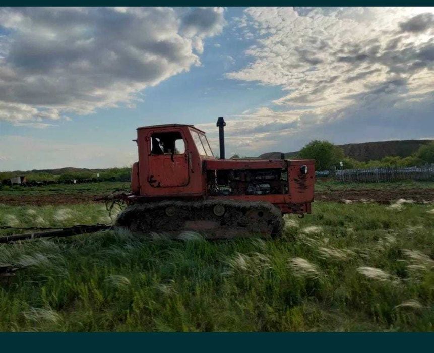 Продам Алтаец т4 с сеялками.