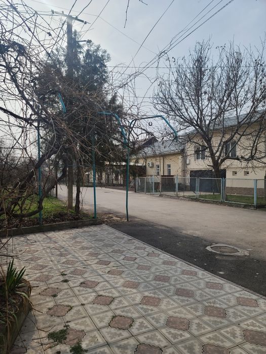 Земля 1.7 сот. Ресторан Элис . Шастри .задняя сторона ресторана Элис.