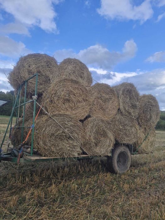 Baloți infoliați de lucernă, otavă şi fân. Baloți rotunzi paie.