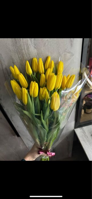 Тюльпаны отпом.