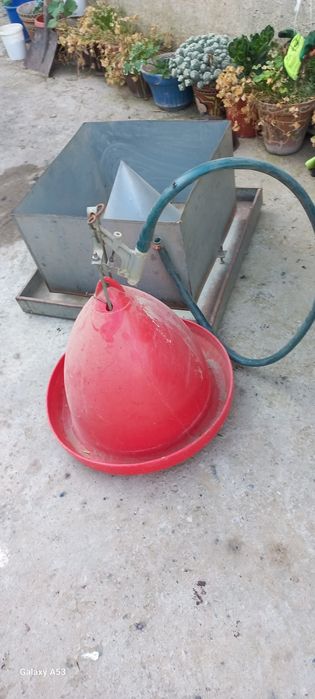 Броллер товук бокиш учун молжалланган