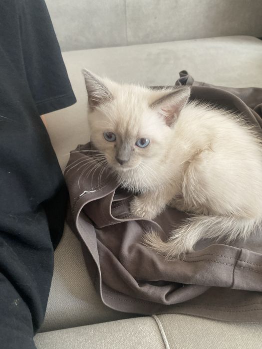 Алаомоаоалмслалмшмлплмлмлмлслалммллслпилмллпплилмлплрлмлмлплплммл