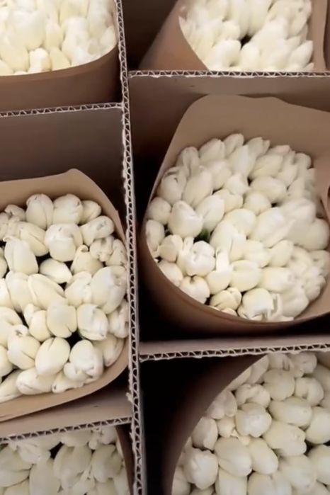 Тюльпаны в 8 Марта