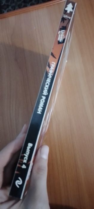 Книга в отличном состоянии