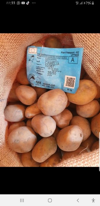 Cartofi de samanta albi și roșii de olanda 25 kg