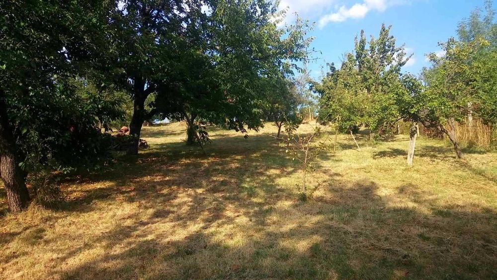 Продава се Парцел в с. Хераково, Област София-област - 1250 кв.м за 65 €/кв.м - Снимка #3