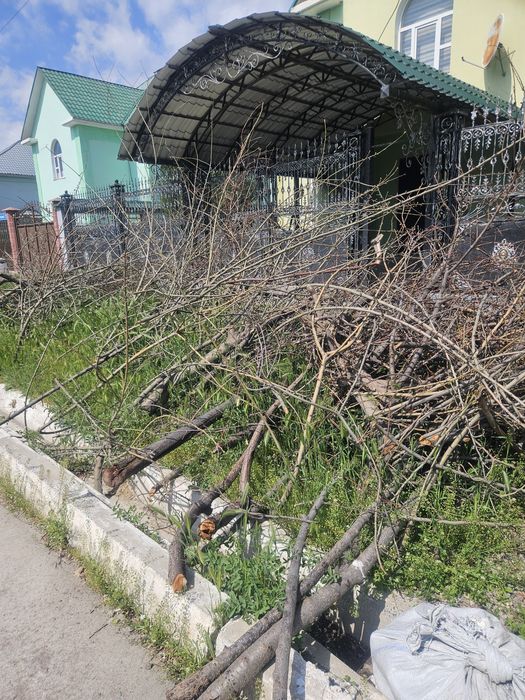 Дрова бесплатно  !