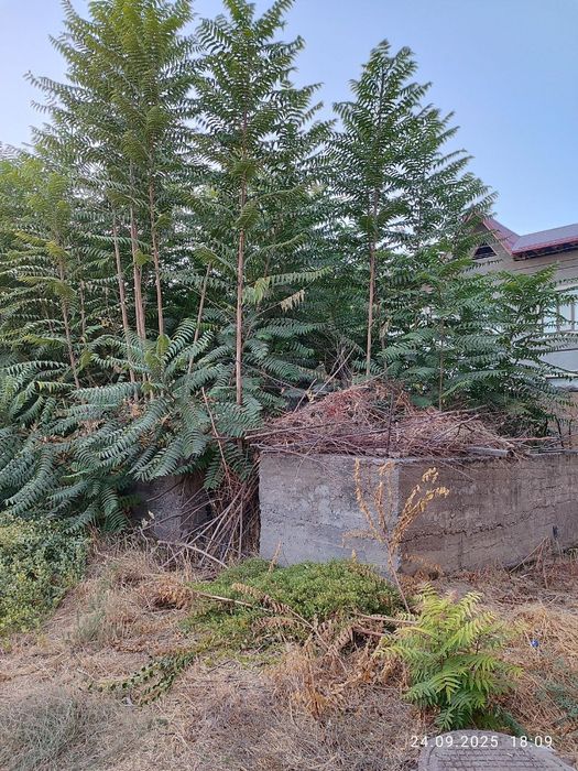 СРОЧНО! Продаётся участок под строит-во дома в Лимонарий!