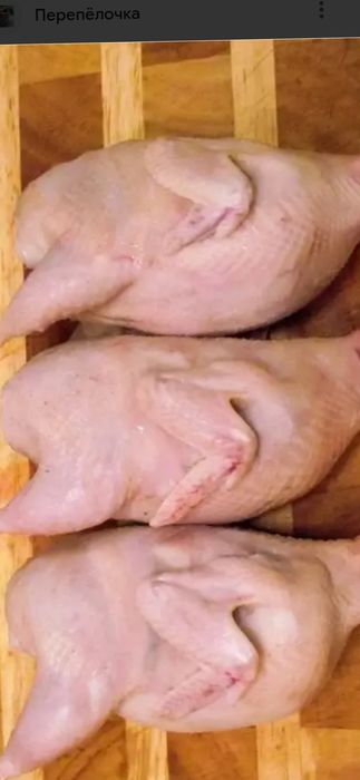 Тушки перепелиные свежезамороженые в Таразе