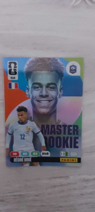 Stickere Panini WC 26
