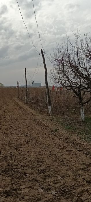 Vând teren intravilan + extravilan 3350 mp