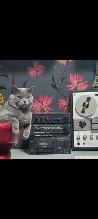 Combina AS3220 Miniturn Electronica