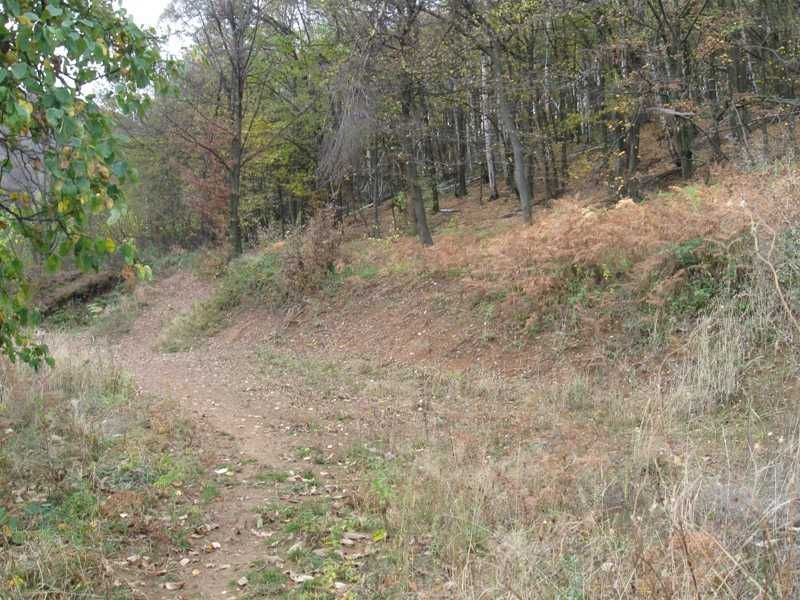 Продава се Парцел в София, Красно село - 41600 кв.м за 3 €/кв.м - Снимка #3