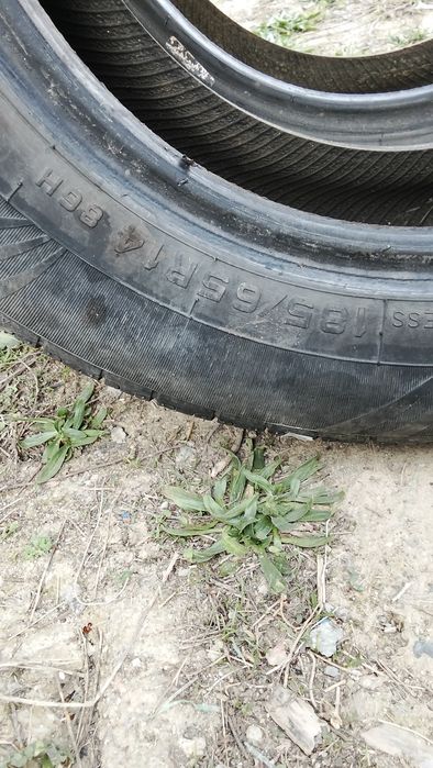 Летние шины пара