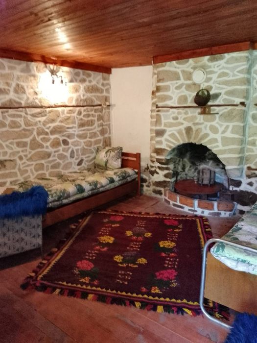 Продава се Къща в с. Сини връх, Област Пловдив - 4000 кв.м за 32 €/кв.м - Снимка #5