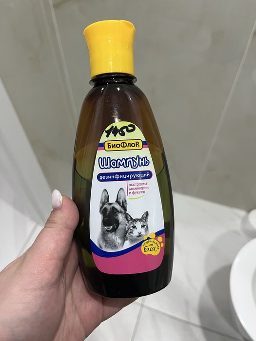 Набор для кошки/ котенка