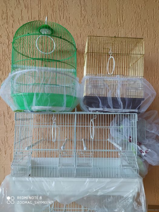 Большой выбор клеток