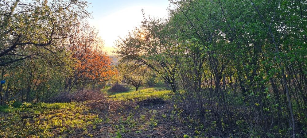 Teren de vânzare în Copou, Viticultori, Iași