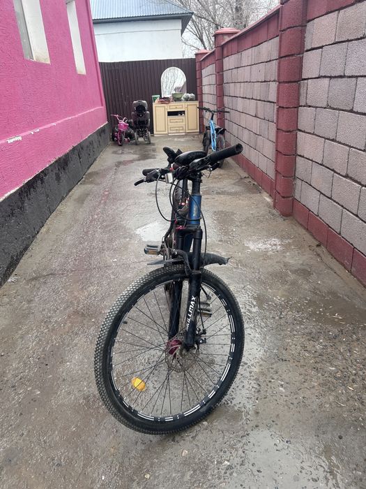 Велик сатылады 24 тік