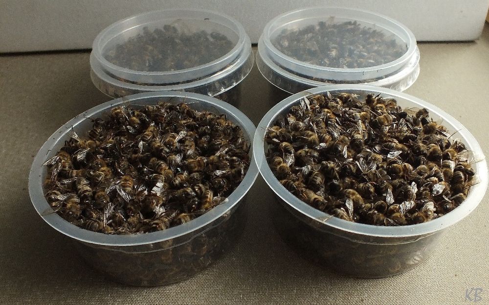 Продаю продук пчёл