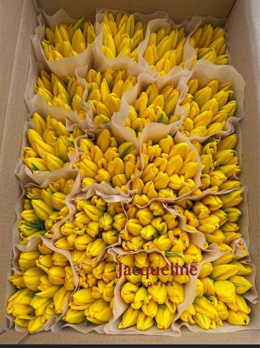 Тюльпаны оптом и в розницу