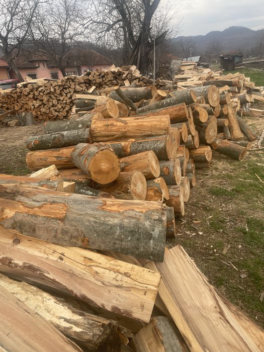 ‼️SC Vindem lemne de foc VERZI/USCATE [Fag,gorun,carpen,cer]