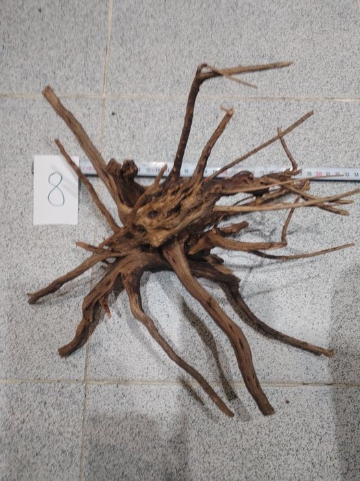 Корени за аквариум, терариум, паладиум